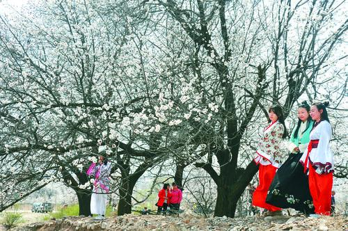 bszb123比赛直播安卓界面预览